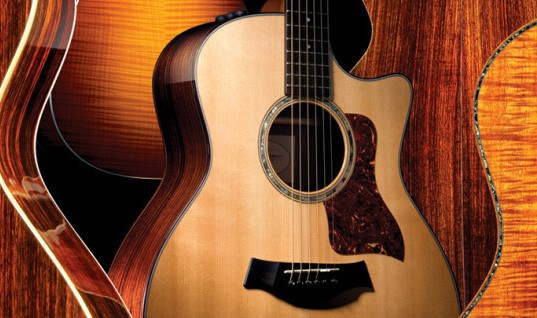 Een basgitaar voor beginners gids basgitaar voor beginners tips review